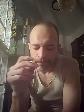 Curious9884 online show from 30, 11, 2025