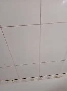 Snapshot of PhoningTint chatting on 12, 10, 2025 PhoningTint online show from 12, 10, 2025