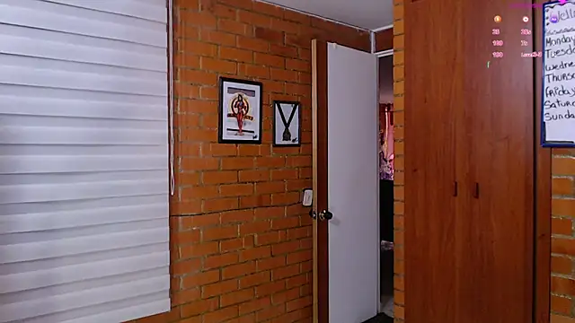 Snapshot of Salome-sw chatting on 12, 2, 2026 Salome-sw online show from 12, 2, 2026