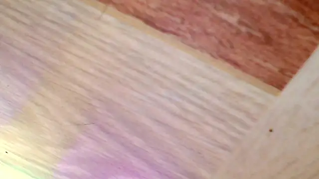 shannon kinne  online show from 31, 3, 2026