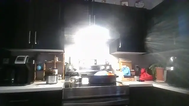 october1992xx online show from 14, 12, 2025