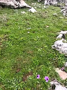 Snapshot of Sert_erkek21_ysm chatting on 23, 3, 2026 Sert erkek21 ysm online show from 23, 3, 2026