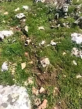 Snapshot of Sert_erkek21_ysm chatting on 24, 3, 2026 Sert erkek21 ysm online show from 24, 3, 2026