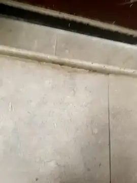 pn12345 online show from 5, 12, 2025