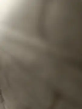 pn12345 online show from 15, 12, 2025