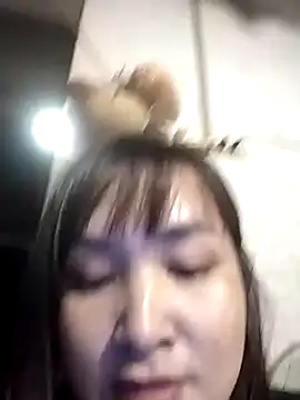 Jeassi-sica online show from 24, 11, 2025