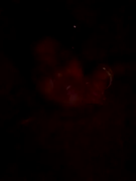 Tg sonam online show from 23, 10, 2025