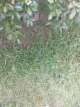 Snapshot of Merlin2310 chatting on 9, 2, 2026 Merlin2310 online show from 9, 2, 2026