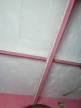 Snapshot of Ut_kanchna chatting on 15, 11, 2025 Ut kanchna online show from 15, 11, 2025