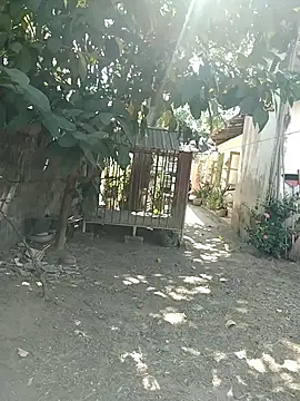 Snapshot of SL_BEAR chatting on 26, 3, 2026 SL BEAR online show from 26, 3, 2026