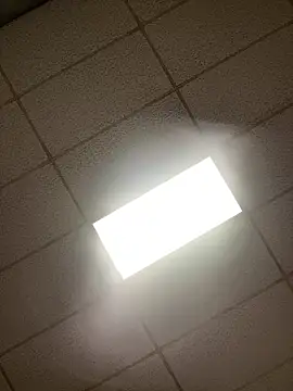 Snapshot of lexuslover687 chatting on 17, 4, 2026 lexuslover687 online show from 17, 4, 2026