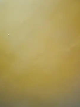 Snapshot of tamil-mala23 chatting on 18, 10, 2025 tamil-mala23 online show from 18, 10, 2025