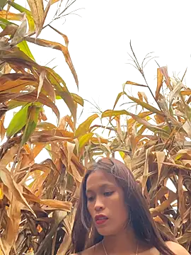 hi-hi-zz online show from 18, 12, 2025