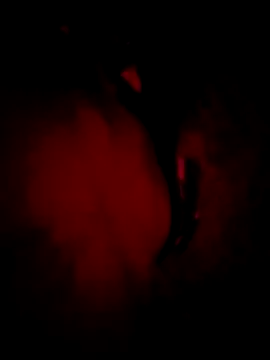 MoonQxX online show from 9, 1, 2026