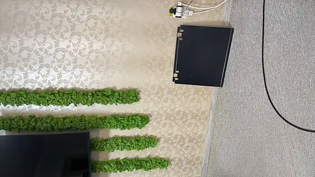 OliviaCart online show from 10, 4, 2026