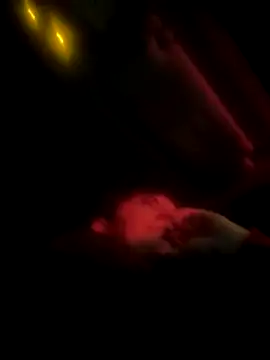 Butterfly8385 online show from 19, 12, 2025