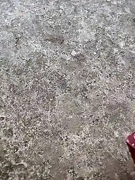 play boy-raj007 online show from 2, 11, 2025