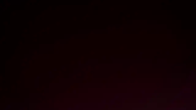 MonetLeitman online show from 8, 4, 2026