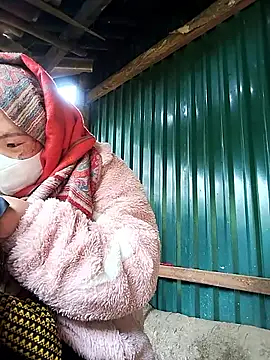 xixibabi online show from 17, 12, 2025