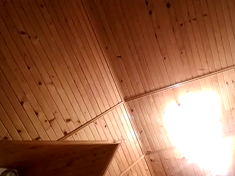 tibci12789 online show from 5, 12, 2025