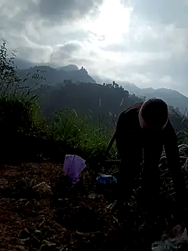 Snapshot of nat-tri chatting on 19, 12, 2025 nat-tri online show from 19, 12, 2025