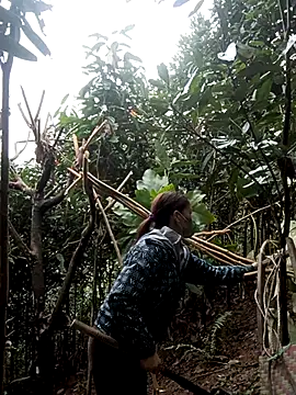 Snapshot of nat-tri chatting on 7, 1, 2026 nat-tri online show from 7, 1, 2026