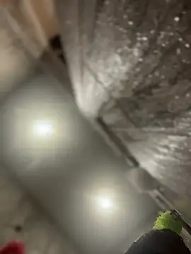 queenkelly1234 online show from 16, 2, 2026