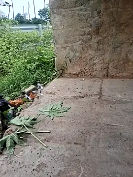 DesiVideo00 online show from 28, 11, 2025