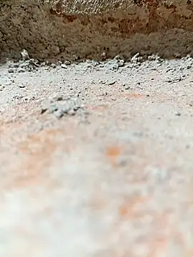 Snapshot of Rajni_chauhan chatting on 2, 11, 2025 Rajni chauhan online show from 2, 11, 2025