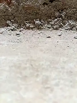 Snapshot of Rajni_chauhan chatting on 25, 3, 2026 Rajni chauhan online show from 25, 3, 2026