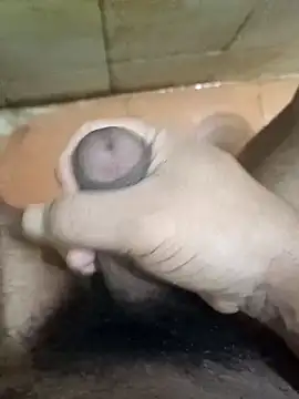 muster121 online show from 16, 12, 2025