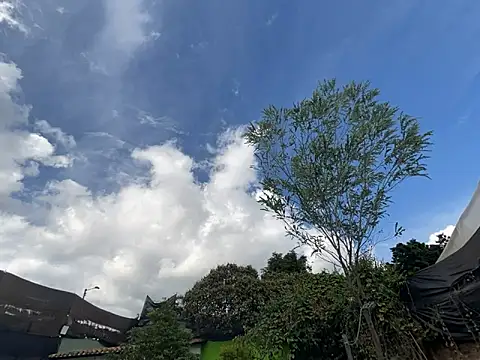 moon2 1  online show from 4, 12, 2025