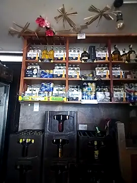 Snapshot of catalella16 chatting on 10, 3, 2026 catalella16 online show from 10, 3, 2026