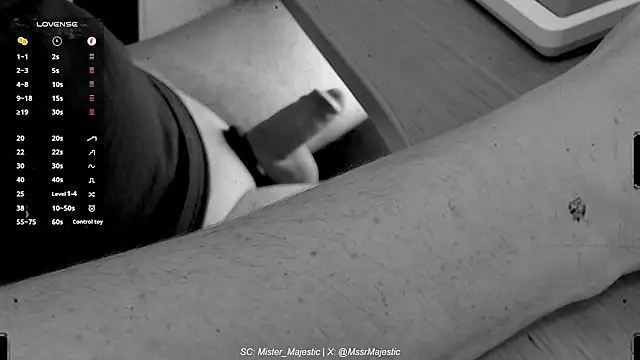 Mister Majestic online show from 2, 12, 2025