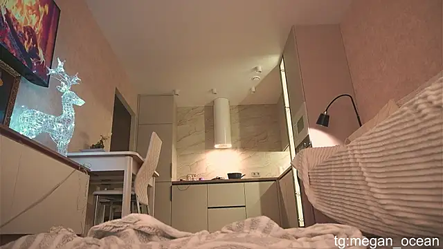 Megan galactica online show from 30, 11, 2025