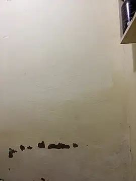 Snapshot of yoryy07 chatting on 14, 3, 2026 yoryy07 online show from 14, 3, 2026