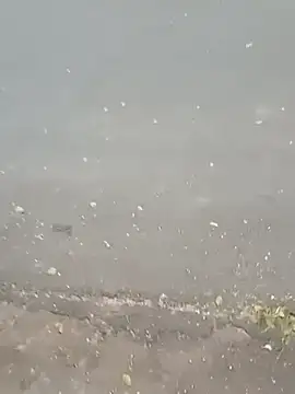 Snapshot of roludao_fun chatting on 23, 2, 2026 roludao fun online show from 23, 2, 2026