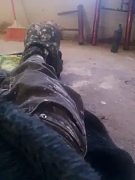 Orlao25cm online show from 8, 11, 2025