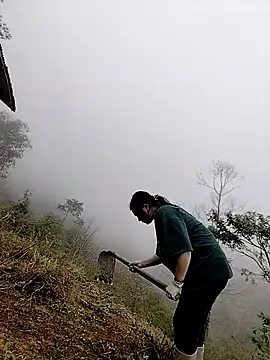 Sinhlinh2020 online show from 23, 3, 2026