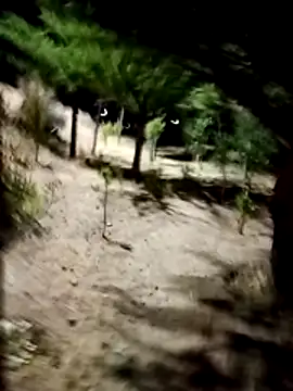 Labellasex online show from 18, 12, 2025