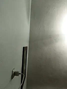 Bugattiveyron1 online show from 4, 12, 2025