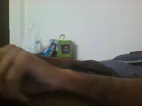 sugar seeker online show from 9, 11, 2025