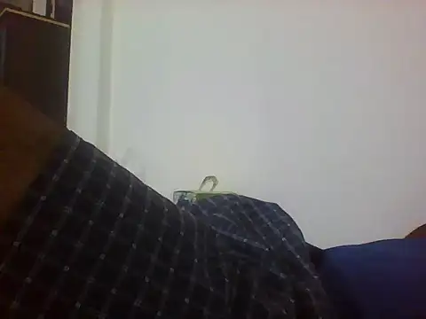 sugar seeker online show from 12, 11, 2025