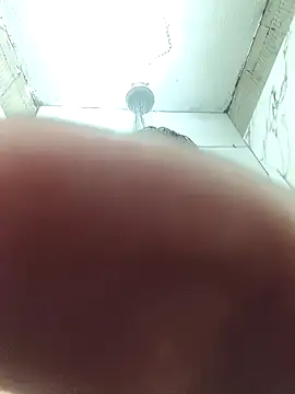 gusto14cm online show from 8, 4, 2026