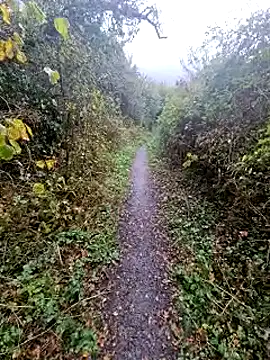 bbyxklaus online show from 20, 10, 2025