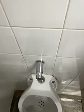 Snapshot of novinhosglbi chatting on 4, 11, 2025 novinhosglbi online show from 4, 11, 2025