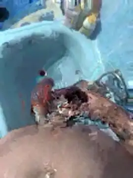 Snapshot of Miguelitros chatting on 27, 4, 2026 Miguelitros online show from 27, 4, 2026