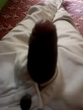 Snapshot of kumarstelugu chatting on 19, 12, 2025 kumarstelugu online show from 19, 12, 2025