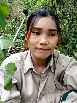 Bear bear0 online show from 3, 11, 2025