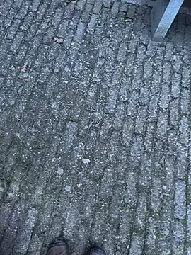 bart98geil online show from 14, 2, 2026